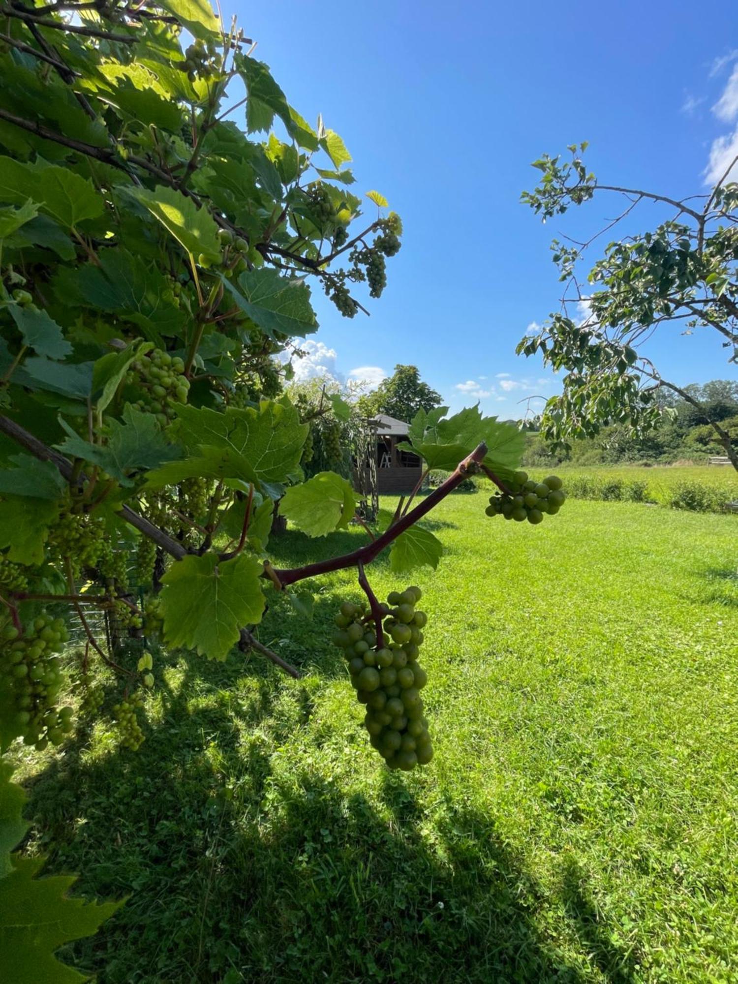 פוטבוס Bungalow Am Wreecher See מראה חיצוני תמונה